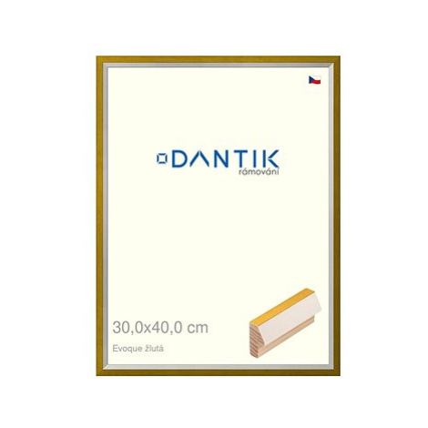 DANTIK rámeček 30 × 40, EVOQUE žlutý plexi čiré