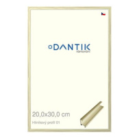 DANTIK rámeček 20 × 30, ALU profil 7001 zlatý lesklý alternativa sklo čiré