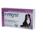 Fypryst Dogs 1x4.02ml spot-on pro psy