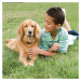PetSafe ohradník pro malé a střední psy - pro 1 psa