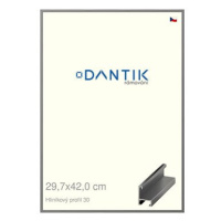 DANTIK rámeček 29,7 × 42, ALU profil 6030 Ocelový plexi čiré