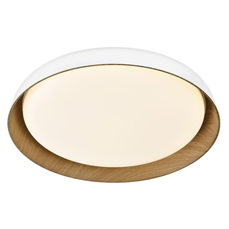 Top Light-LED Stm. stropní svítidlo SATELLITE LED/36W/230V 3000-6500K bílá + DO Satellite 40B RC TOP-LIGHT