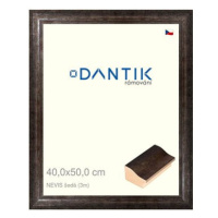 DANTIK rámeček 40 × 50, NEVIS šedý sklo čiré