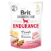 Brit Care Dog Functional Snack Endurance Lamb 150g