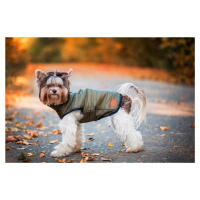 Vsepropejska Targa podzimní bunda pro psa Barva: Zelená, Délka zad (cm): 33, Obvod hrudníku: 45 
