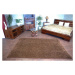 Dywany Lusczow Kusový koberec SHAGGY Izebelie 5cm hnědý