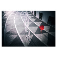 Fotografie Red Umbrella, Daisuke Kiyota, 40 × 26.7 cm