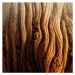 Umělecká fotografie Image Of Tree Bark Texture, Nenov, (40 x 40 cm)