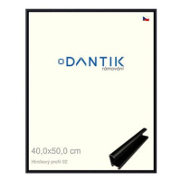 DANTIK rámeček 40 × 50, ALU profil 7002 Černý matný sklo čiré