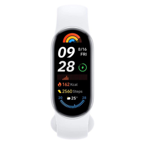 Xiaomi Smart Band 9 Silver