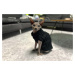 Vsepropejska Kimo svetr pro psa Barva: Černá, Délka zad (cm): 37, Obvod hrudníku: 35 - 45 cm