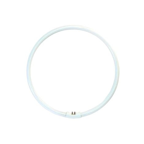 YH 40W/4000K úsporná kruhová zářivka, studená bílá