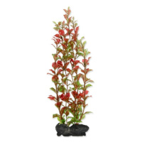 Dekorace Tetra Rostlina Red Ludwigia L 30cm