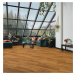 Beauflor PVC podlaha Expoline Oak Plank 026D - dub - Rozměr na míru cm