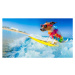 Umělecká fotografie dog surfing on a wave, damedeeso, (40 x 22.5 cm)