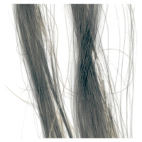 Elyseé Infinity Hair Color Mousse - barevná pěnová tužidla, 75 ml 1.1 Silver - stříbrná
