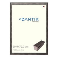 DANTIK rámeček 50 × 70, TRITON cín plexi čiré