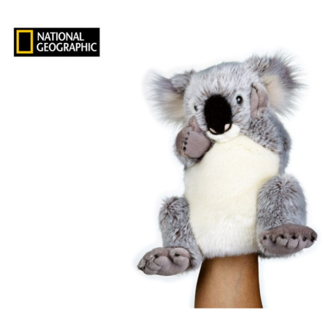 National Geographic maňásek Koala, National Geographic, W011134