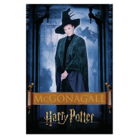 Umělecký tisk Harry Potter - McGonagall, 26.7 × 40 cm