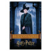 Umělecký tisk Harry Potter - McGonagall, 26.7 × 40 cm