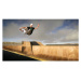 Skater XL (Switch)