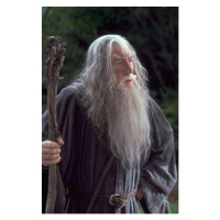 Fotografie Gandalf, (26.7 x 40 cm)