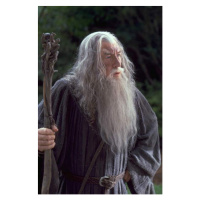 Fotografie Gandalf, 26.7 × 40 cm