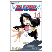 Bleach 14