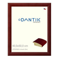 DANTIK rámeček 40 × 50, LEDVINKA vínový sklo čiré