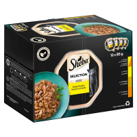 Sheba Multipack Selection drůbeží variace v omáčce, 12 × 85 g