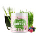 Blendea Supergreens 90 g, Lesní směs