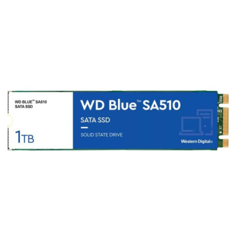 WD Blue SA510 1TB, WDS100T3B0B Western Digital