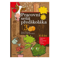 Pracovní sešit předškoláka 3 - Ivana Novotná