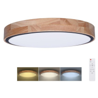 WO8005 - LED Stm. svítidlo IRON OAK LED/48W/230V 3000-6500K pr. 40 cm+DO