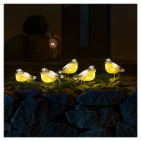 Konstsmide Christmas LED osvětlené figurky ptáků pro venkovní použití, sada 5 kusů