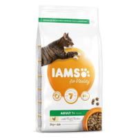 IAMS Cat Adult Chicken 2 kg