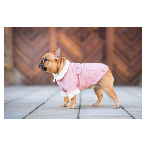 Vsepropejska Deril manšestrová bunda pro psa Barva: Růžová, Délka zad (cm): 21, Obvod hrudníku: 