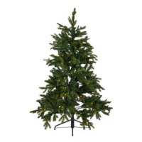 Vánoční Stromeček S Led Brampton, V: 155cm