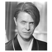 Fotografie Hunger: David Bowie, 1983, 34.4 × 40 cm