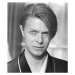 Fotografie Hunger: David Bowie, 1983, 34.4 × 40 cm