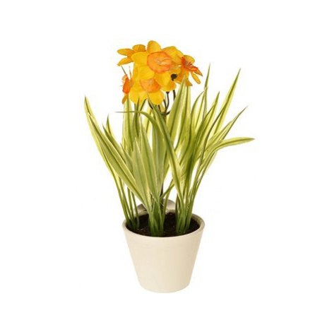 EverGreen Narcis v květináči , výška 22 cm, barva žluto-oranžová