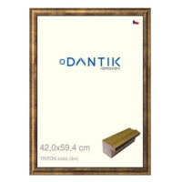 DANTIK rámeček 42 × 59,4, TRITON zlatý plexi čiré