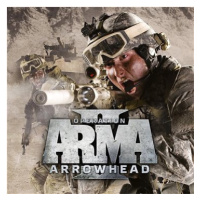 Arma 2: Operation Arrowhead - PC Digital