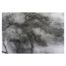 Berfin Dywany Kusový koberec Elite 23270 Grey Rozměry koberců: 60x100