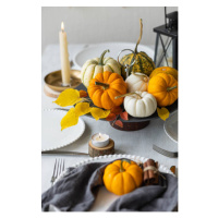 Fotografie Pumpkin table decor, Artsyslik, (26.7 x 40 cm)