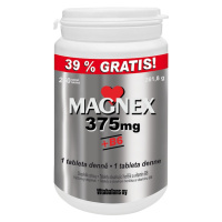 Magnex 375 mg + B6 250 tablet