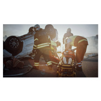 Fotografie On the Car Crash Traffic Accident, gorodenkoff, 40 × 22.2 cm