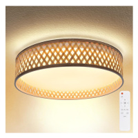 Brilagi Brilagi - LED Stmívatelné stropní svítidlo CAMILA LED/48W/230V 3000-6500K + DO