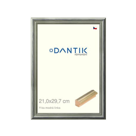 DANTIK rámeček 21 × 29,7, Y-ka modrý linka sklo čiré