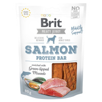 Brit Jerky Salmon Protein Bar - 6 x 80 g